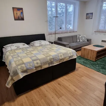 Apartmans Les Zlin Room photo