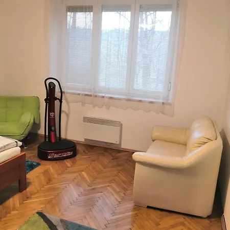 Apartmans Les Zlin Room photo