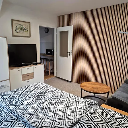 Apartmans Les Zlin Room photo